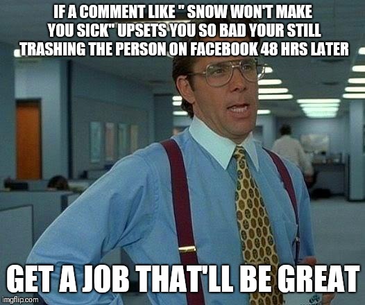 That Would Be Great | IF A COMMENT LIKE " SNOW WON'T MAKE YOU SICK" UPSETS YOU SO BAD YOUR STILL TRASHING THE PERSON ON FACEBOOK 48 HRS LATER; GET A JOB THAT'LL BE GREAT | image tagged in memes,that would be great | made w/ Imgflip meme maker