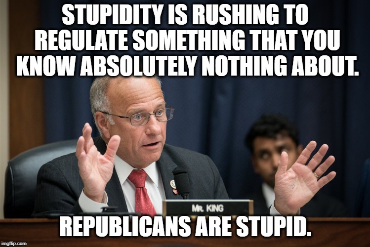 Another Republican Gets Laughed At By A Group Of Far Smarter People. | STUPIDITY IS RUSHING TO REGULATE SOMETHING THAT YOU KNOW ABSOLUTELY NOTHING ABOUT. REPUBLICANS ARE STUPID. | image tagged in steve king,republican,google,hearing,regulations,internet | made w/ Imgflip meme maker