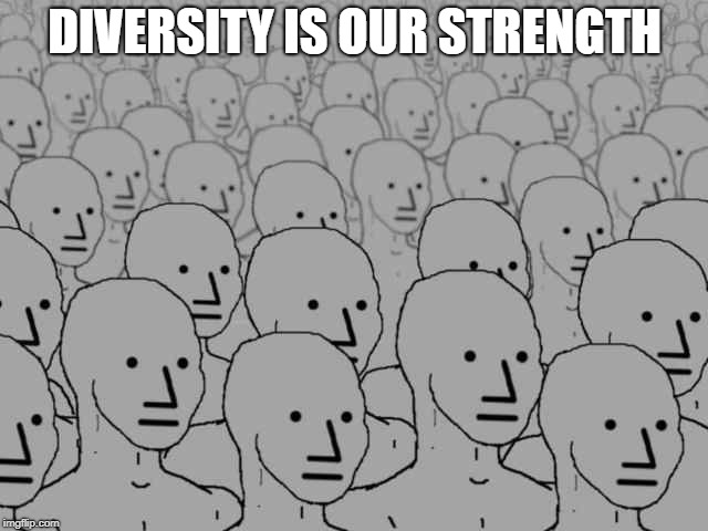 Socialism's End Game | DIVERSITY IS OUR STRENGTH | image tagged in npc | made w/ Imgflip meme maker