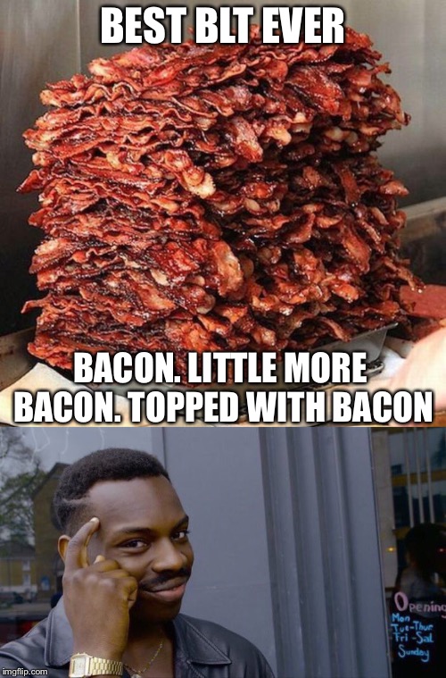 BEST BLT EVER; BACON. LITTLE MORE BACON. TOPPED WITH BACON | image tagged in bacon,memes,roll safe think about it | made w/ Imgflip meme maker