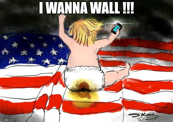 Wall Baby | I WANNA WALL !!! | image tagged in trump,wall,mexico is going to pay for it,crybaby | made w/ Imgflip meme maker