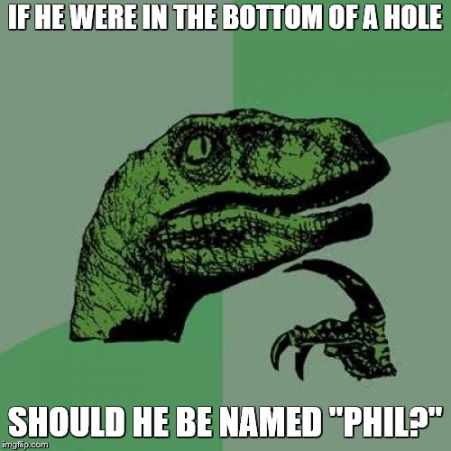 Philosoraptor Meme | IF HE WERE IN THE BOTTOM OF A HOLE SHOULD HE BE NAMED "PHIL?" | image tagged in memes,philosoraptor | made w/ Imgflip meme maker