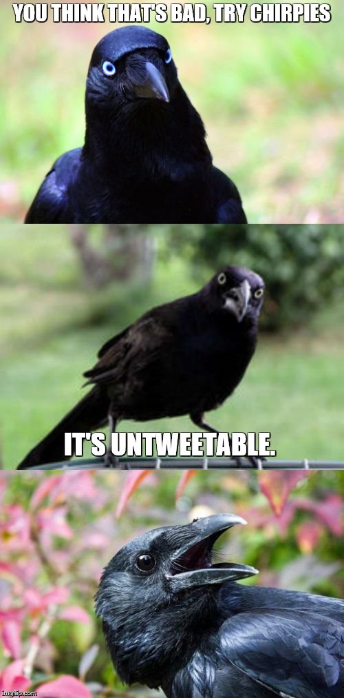 bad pun crow | YOU THINK THAT'S BAD, TRY CHIRPIES IT'S UNTWEETABLE. | image tagged in bad pun crow | made w/ Imgflip meme maker