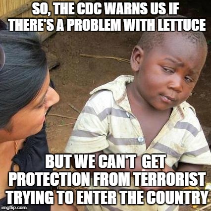 Third World Skeptical Kid | SO, THE CDC WARNS US IF THERE'S A PROBLEM WITH LETTUCE; BUT WE CAN'T  GET PROTECTION FROM TERRORIST TRYING TO ENTER THE COUNTRY | image tagged in memes,third world skeptical kid | made w/ Imgflip meme maker