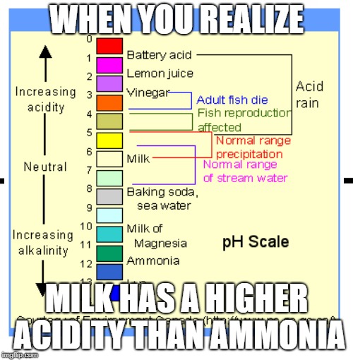 Acid | WHEN YOU REALIZE; MILK HAS A HIGHER ACIDITY THAN AMMONIA | image tagged in funny | made w/ Imgflip meme maker
