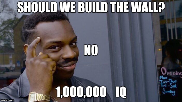 Roll Safe Think About It Meme | SHOULD WE BUILD THE WALL? NO; 1,000,000    IQ | image tagged in memes,roll safe think about it | made w/ Imgflip meme maker
