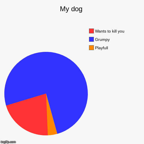 My dog | Playfull, Grumpy, Wants to kill you | image tagged in funny,pie charts | made w/ Imgflip chart maker