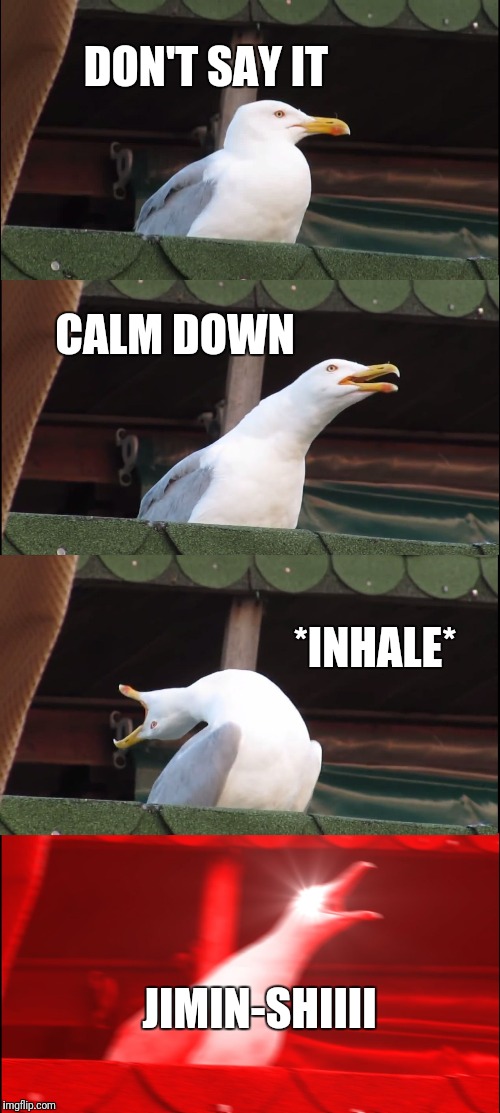 Inhaling Seagull | DON'T SAY IT; CALM DOWN; *INHALE*; JIMIN-SHIIII | image tagged in memes,inhaling seagull | made w/ Imgflip meme maker