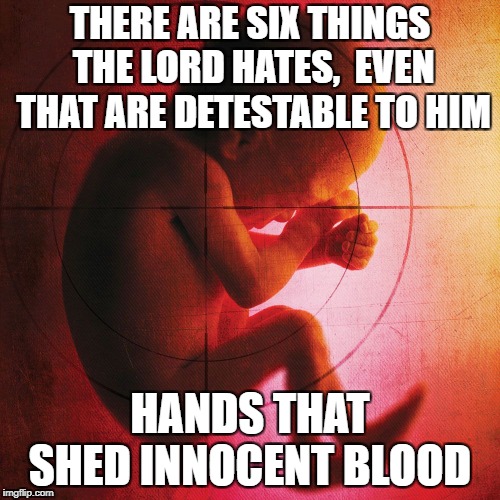 fetus | THERE ARE SIX THINGS THE LORD HATES,
 EVEN THAT ARE DETESTABLE TO HIM; HANDS THAT SHED INNOCENT BLOOD | image tagged in fetus | made w/ Imgflip meme maker