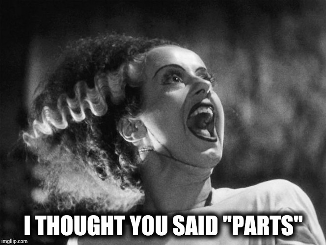 The Bride of Frankenstein | I THOUGHT YOU SAID "PARTS" | image tagged in the bride of frankenstein | made w/ Imgflip meme maker