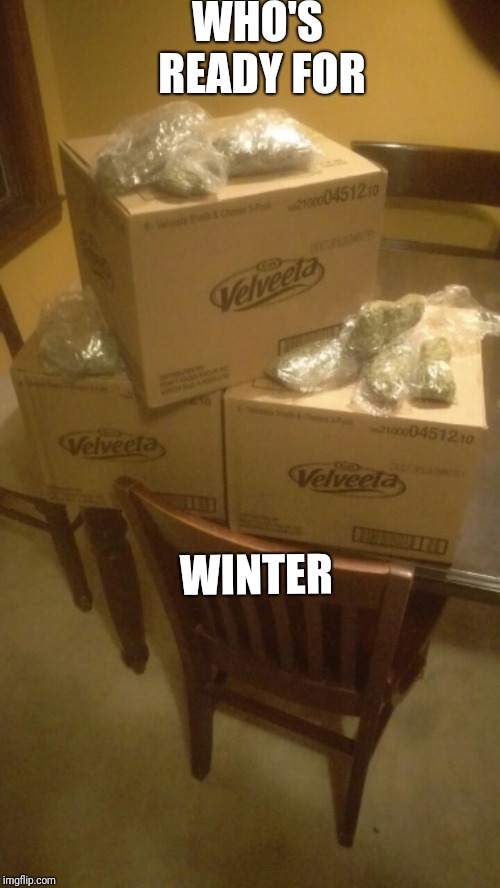 WHO'S READY FOR; WINTER | image tagged in marijuana | made w/ Imgflip meme maker