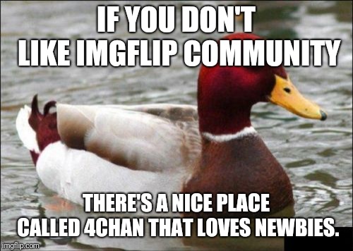 Malicious Advice Mallard | IF YOU DON'T LIKE IMGFLIP COMMUNITY; THERE'S A NICE PLACE CALLED 4CHAN THAT LOVES NEWBIES. | image tagged in memes,malicious advice mallard | made w/ Imgflip meme maker
