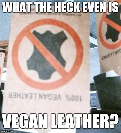 Dang Vegans | WHAT THE HECK EVEN IS; VEGAN LEATHER? | image tagged in lol so funny,original meme | made w/ Imgflip meme maker