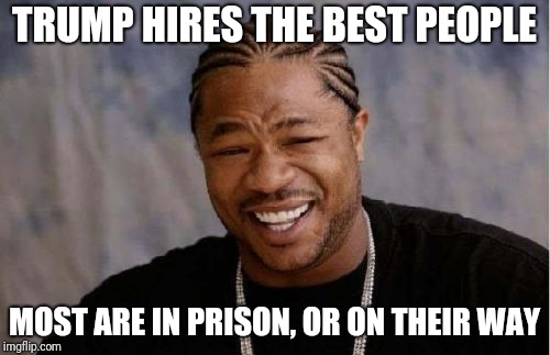 Yo Dawg Heard You | TRUMP HIRES THE BEST PEOPLE; MOST ARE IN PRISON, OR ON THEIR WAY | image tagged in memes,yo dawg heard you | made w/ Imgflip meme maker