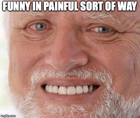 harold smiling | FUNNY IN PAINFUL SORT OF WAY | image tagged in harold smiling | made w/ Imgflip meme maker