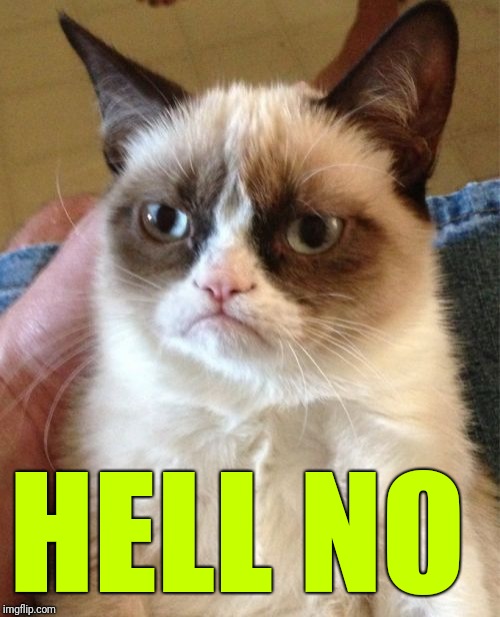 Grumpy Cat Meme | HELL NO | image tagged in memes,grumpy cat | made w/ Imgflip meme maker