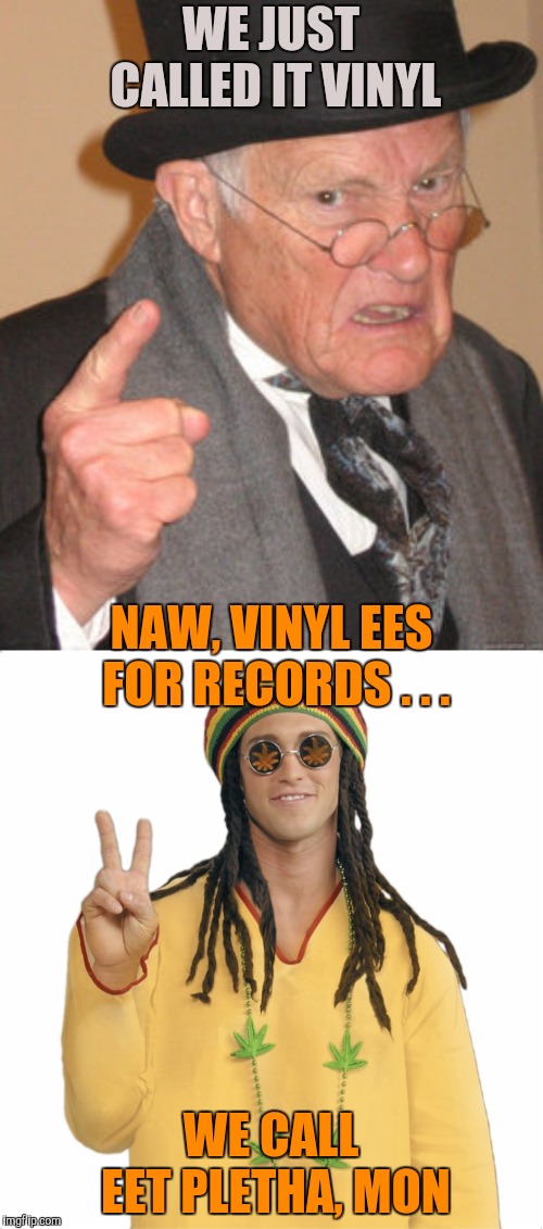 WE JUST CALLED IT VINYL WE CALL EET PLETHA, MON NAW, VINYL EES FOR RECORDS . . . | image tagged in memes,back in my day,rasta | made w/ Imgflip meme maker