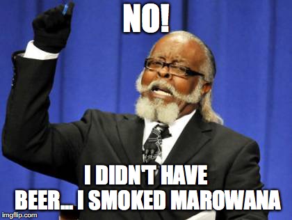 Too Damn High | NO! I DIDN'T HAVE BEER... I SMOKED MAROWANA | image tagged in memes,too damn high | made w/ Imgflip meme maker