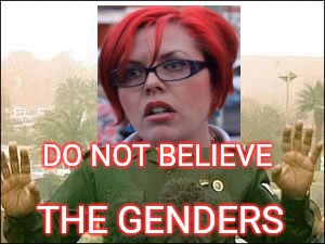 When I hear feminists talk about gender, I hear Baghdad Bob. | DO NOT BELIEVE; THE GENDERS | image tagged in baghdad bob,gender,triggered feminist,feminist,feminists | made w/ Imgflip meme maker