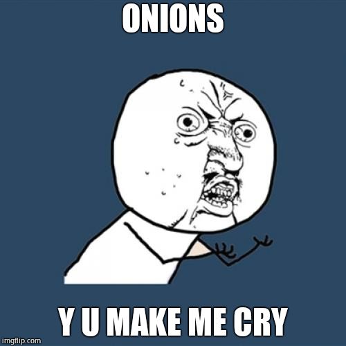 Y U No | ONIONS; Y U MAKE ME CRY | image tagged in memes,y u no | made w/ Imgflip meme maker