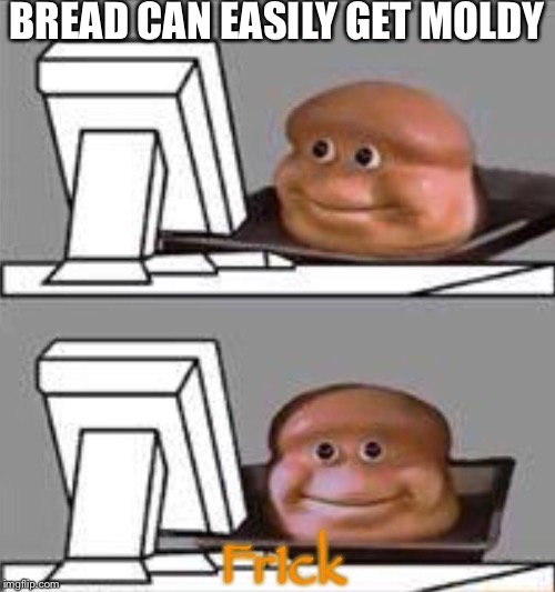 Bread lörd does not like møld | BREAD CAN EASILY GET MOLDY; Fr1ck | image tagged in bread computer,funny,memes | made w/ Imgflip meme maker