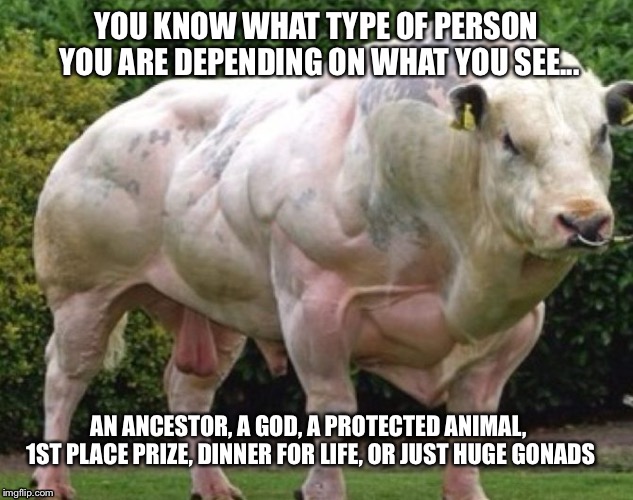 Cow personality test | YOU KNOW WHAT TYPE OF PERSON YOU ARE DEPENDING ON WHAT YOU SEE... AN ANCESTOR, A GOD, A PROTECTED ANIMAL, 1ST PLACE PRIZE, DINNER FOR LIFE, OR JUST HUGE GONADS | image tagged in cow,animal rights,steak,indian,balls | made w/ Imgflip meme maker