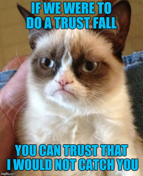 You Can Trust Grumpy | IF WE WERE TO DO A TRUST FALL; YOU CAN TRUST THAT I WOULD NOT CATCH YOU | image tagged in memes,grumpy cat,trust fall,trust me,funny | made w/ Imgflip meme maker