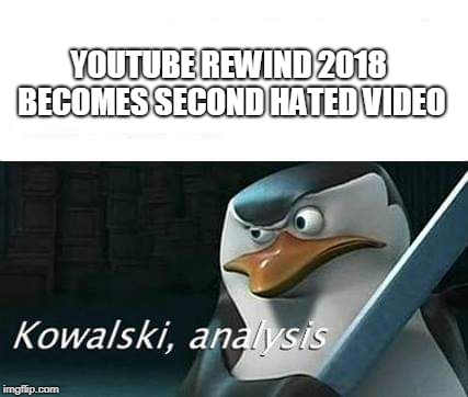 kowalski, analysis | YOUTUBE REWIND 2018 BECOMES SECOND HATED VIDEO | image tagged in kowalski analysis | made w/ Imgflip meme maker