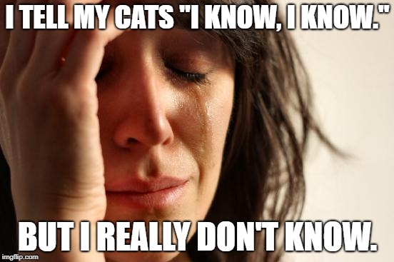 First World Problems | I TELL MY CATS "I KNOW, I KNOW."; BUT I REALLY DON'T KNOW. | image tagged in memes,first world problems | made w/ Imgflip meme maker
