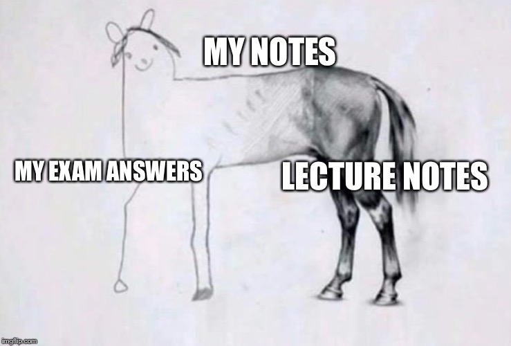 Horse Drawing | MY NOTES; LECTURE NOTES; MY EXAM ANSWERS | image tagged in horse drawing | made w/ Imgflip meme maker