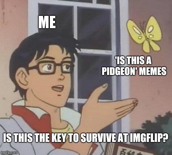 I have to find way to survive. | ME; 'IS THIS A PIDGEON' MEMES; IS THIS THE KEY TO SURVIVE AT IMGFLIP? | image tagged in memes,is this a pigeon,imgflip,imgflip users,funny | made w/ Imgflip meme maker