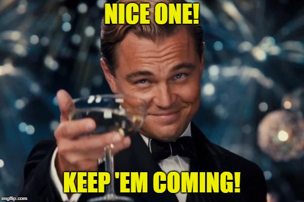 Leonardo Dicaprio Cheers Meme | NICE ONE! KEEP 'EM COMING! | image tagged in memes,leonardo dicaprio cheers | made w/ Imgflip meme maker