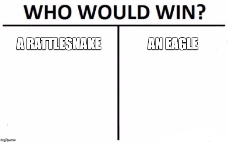 Americans only | A RATTLESNAKE; AN EAGLE | image tagged in memes,who would win,eagle,rattlesnake | made w/ Imgflip meme maker