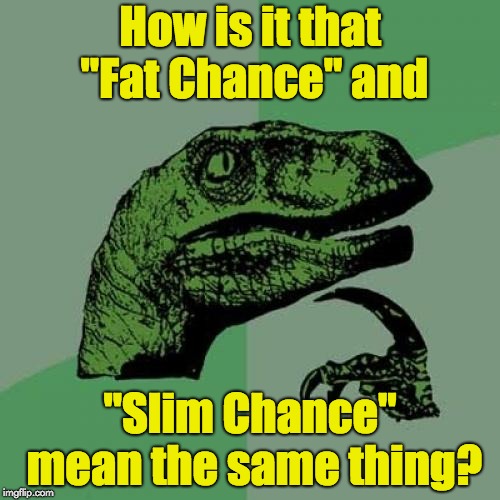 Philosoraptor Meme | How is it that "Fat Chance" and; "Slim Chance" mean the same thing? | image tagged in memes,philosoraptor | made w/ Imgflip meme maker