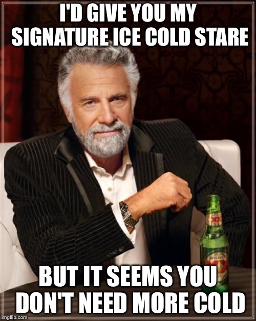 I'D GIVE YOU MY SIGNATURE ICE COLD STARE BUT IT SEEMS YOU DON'T NEED MORE COLD | image tagged in memes,the most interesting man in the world | made w/ Imgflip meme maker