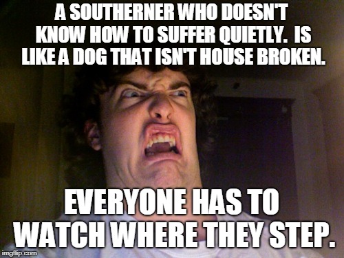 Oh No Meme | A SOUTHERNER WHO DOESN'T KNOW HOW TO SUFFER QUIETLY.  IS LIKE A DOG THAT ISN'T HOUSE BROKEN. EVERYONE HAS TO WATCH WHERE THEY STEP. | image tagged in memes,oh no | made w/ Imgflip meme maker