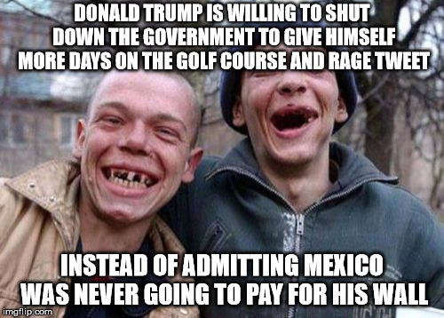 Ugly Twins Meme | DONALD TRUMP IS WILLING TO SHUT DOWN THE GOVERNMENT TO GIVE HIMSELF MORE DAYS ON THE GOLF COURSE AND RAGE TWEET; INSTEAD OF ADMITTING MEXICO WAS NEVER GOING TO PAY FOR HIS WALL | image tagged in memes,ugly twins | made w/ Imgflip meme maker