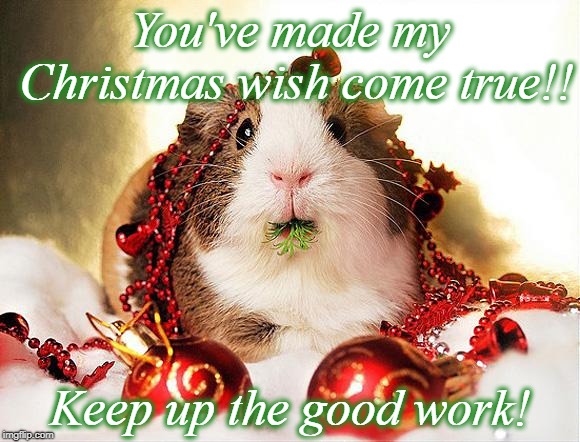 christmas | You've made my Christmas wish come true!! Keep up the good work! | image tagged in christmas | made w/ Imgflip meme maker