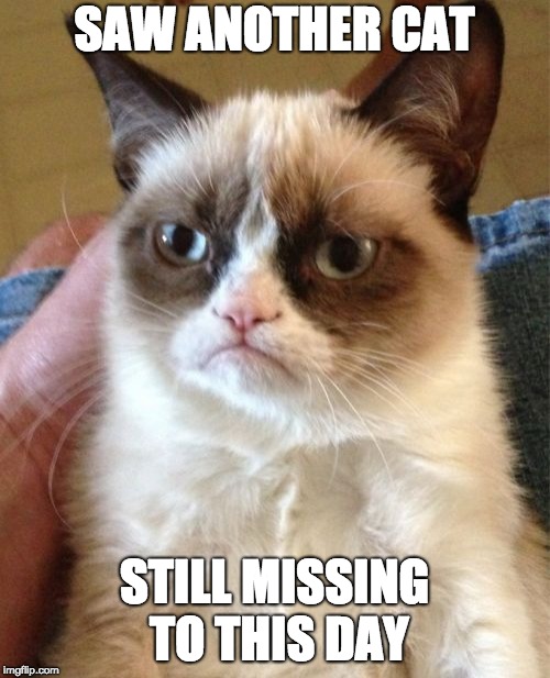 Grumpy Cat | SAW ANOTHER CAT; STILL MISSING TO THIS DAY | image tagged in memes,grumpy cat | made w/ Imgflip meme maker