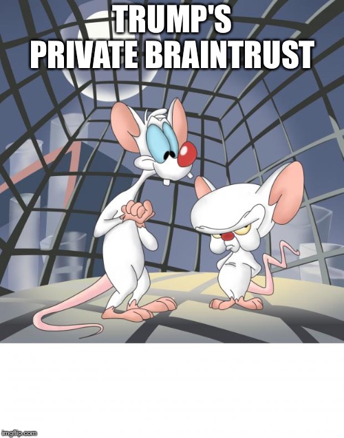 Pinky and the brain | TRUMP'S PRIVATE BRAINTRUST | image tagged in pinky and the brain | made w/ Imgflip meme maker