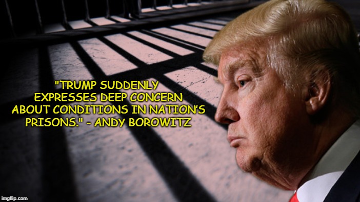 Felon Potus | "TRUMP SUDDENLY EXPRESSES DEEP CONCERN ABOUT CONDITIONS IN NATION’S PRISONS." - ANDY BOROWITZ | image tagged in trump,russia,hush money | made w/ Imgflip meme maker
