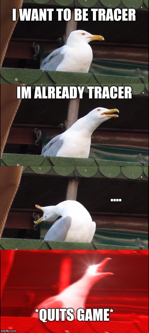 Inhaling Seagull Meme | I WANT TO BE TRACER; IM ALREADY TRACER; .... *QUITS GAME* | image tagged in memes,inhaling seagull | made w/ Imgflip meme maker