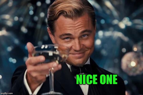 Leonardo Dicaprio Cheers Meme | NICE ONE | image tagged in memes,leonardo dicaprio cheers | made w/ Imgflip meme maker