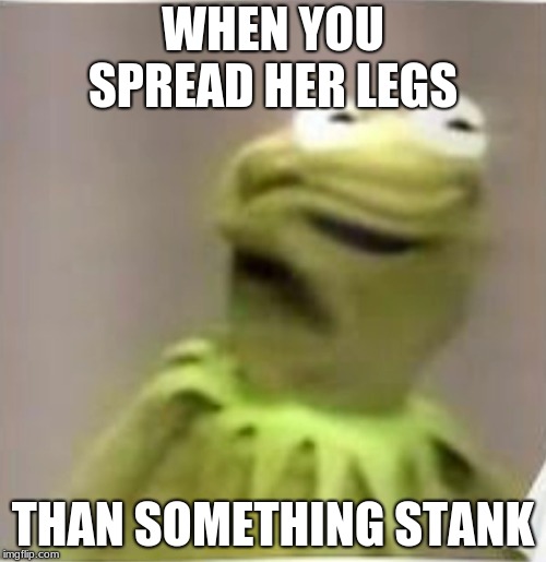 something stank | WHEN YOU SPREAD HER LEGS; THAN SOMETHING STANK | image tagged in autistic screeching | made w/ Imgflip meme maker