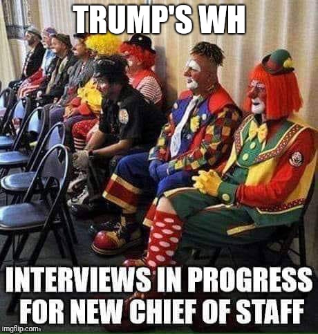 Memes | TRUMP'S WH | image tagged in donald trump | made w/ Imgflip meme maker