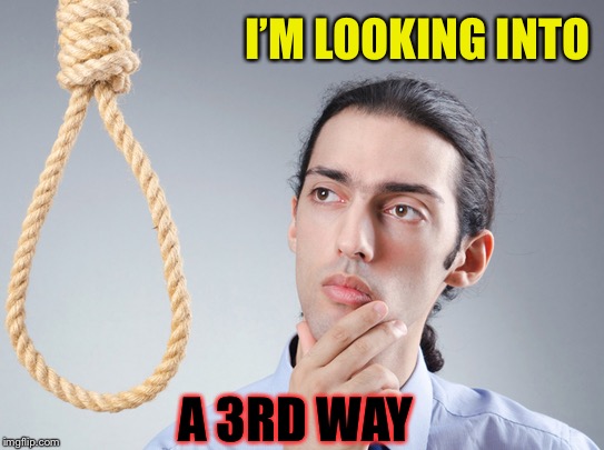 noose | I’M LOOKING INTO A 3RD WAY | image tagged in noose | made w/ Imgflip meme maker