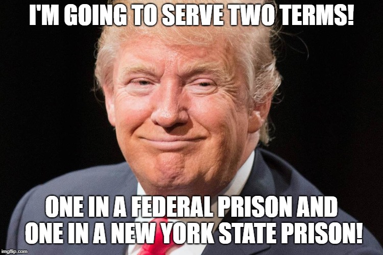 President Donald Trump | I'M GOING TO SERVE TWO TERMS! ONE IN A FEDERAL PRISON AND ONE IN A NEW YORK STATE PRISON! | image tagged in president donald trump | made w/ Imgflip meme maker