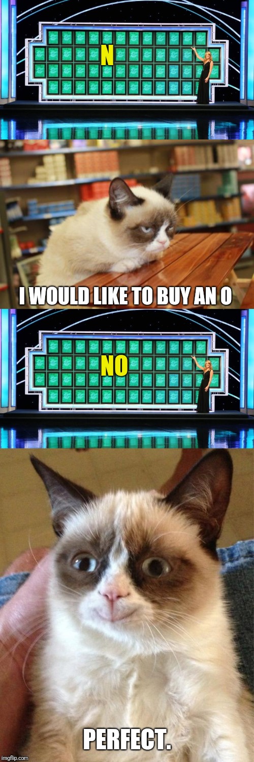 Grumpy cat plays wheel of fortune | N; I WOULD LIKE TO BUY AN O; NO; PERFECT. | image tagged in memes,grumpy cat table,wheel of fortune,happy grumpy cat | made w/ Imgflip meme maker