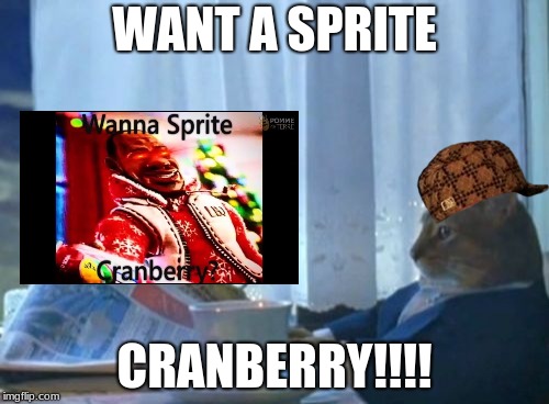 I Should Buy A Boat Cat | WANT A SPRITE; CRANBERRY!!!! | image tagged in memes,i should buy a boat cat,scumbag | made w/ Imgflip meme maker