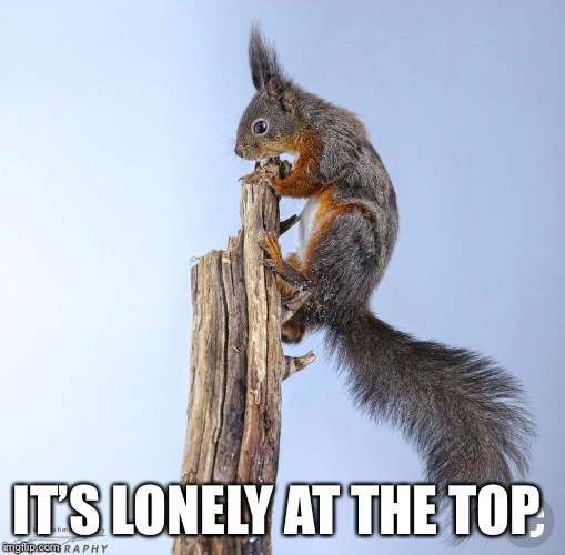 IT’S LONELY AT THE TOP | made w/ Imgflip meme maker